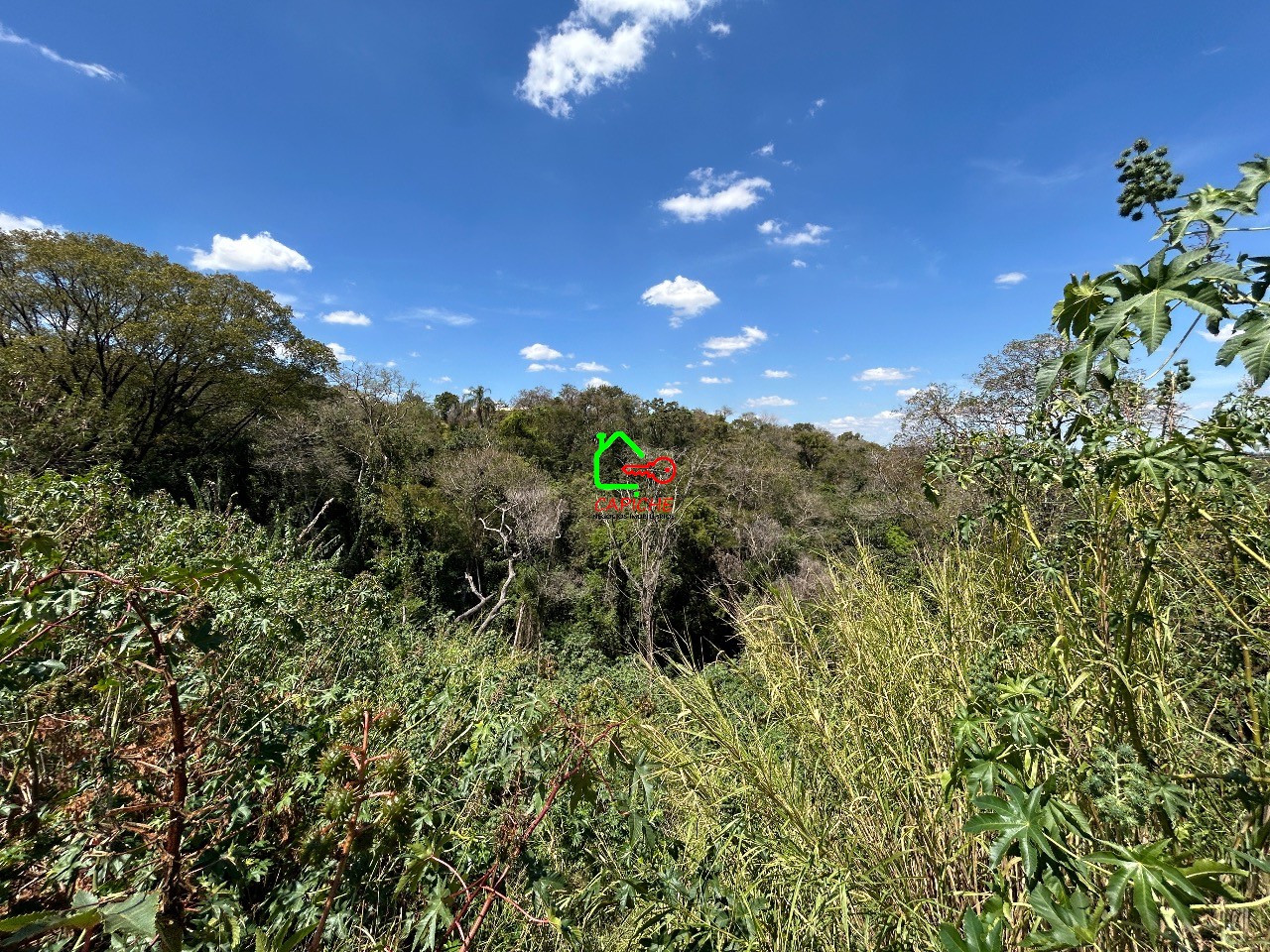 Terreno à venda, 3000m² - Foto 7