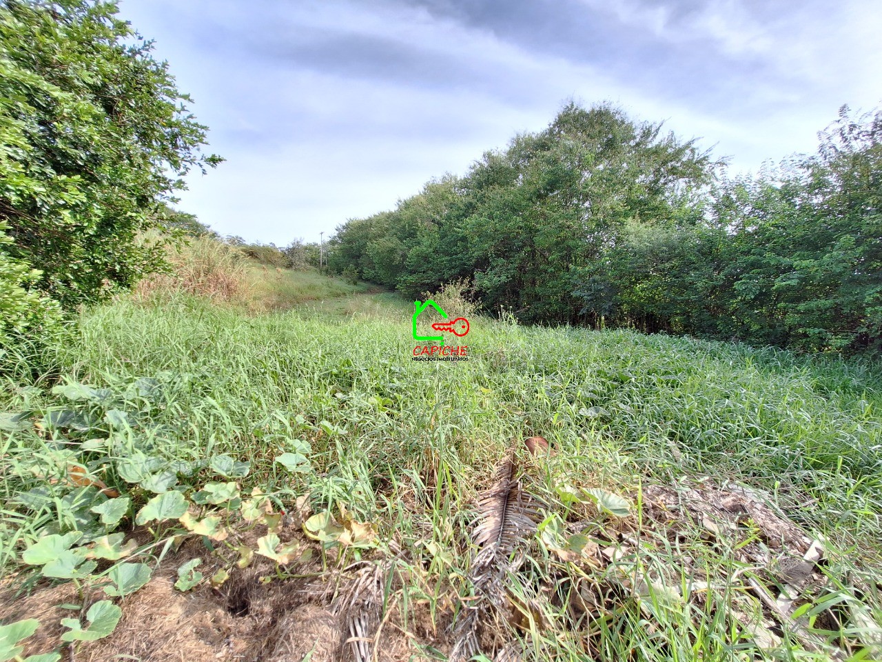 Terreno, 2 hectares - Foto 9