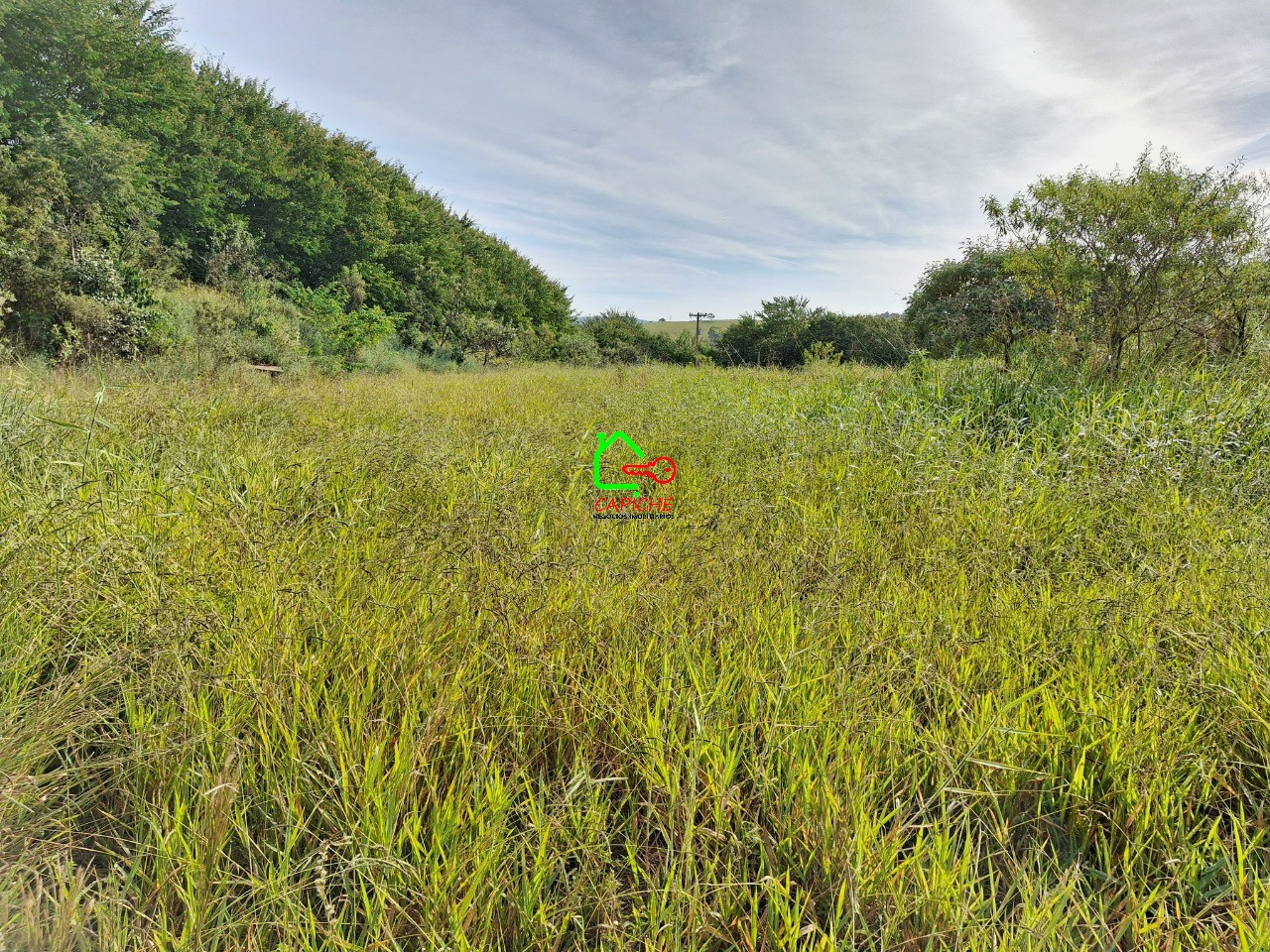 Terreno, 2 hectares - Foto 2