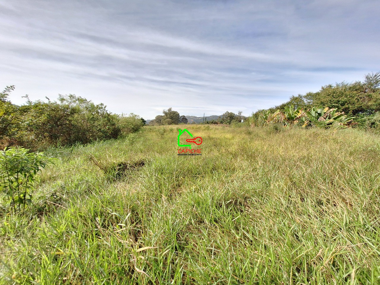 Terreno, 2 hectares - Foto 4