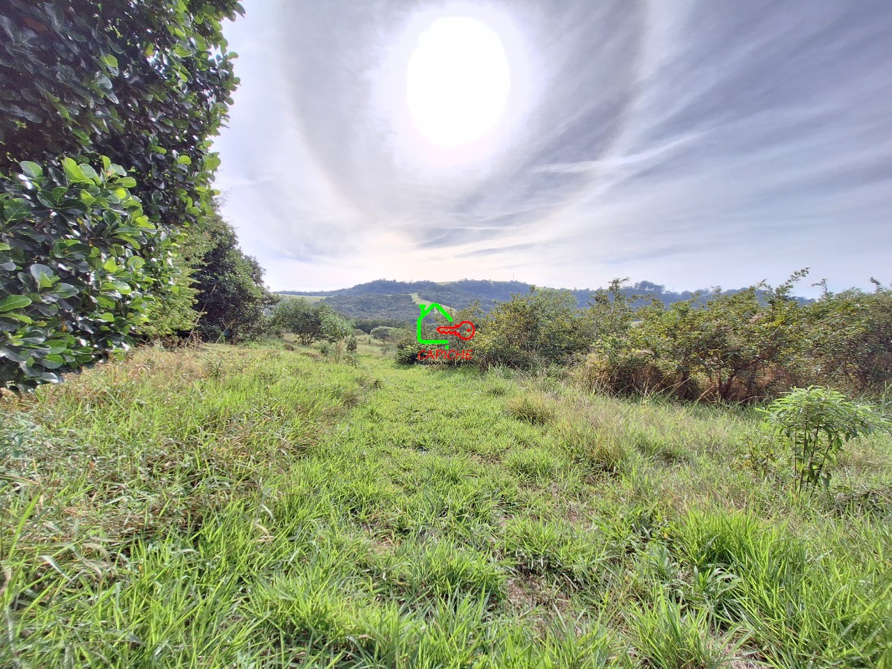 Terreno, 2 hectares - Foto 5