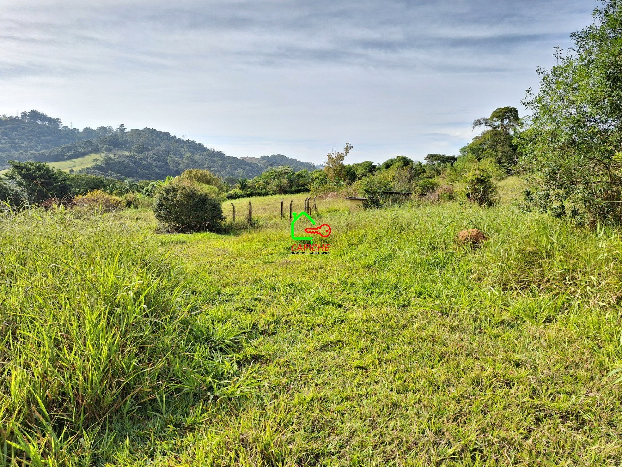 Terreno, 2 hectares - Foto 3