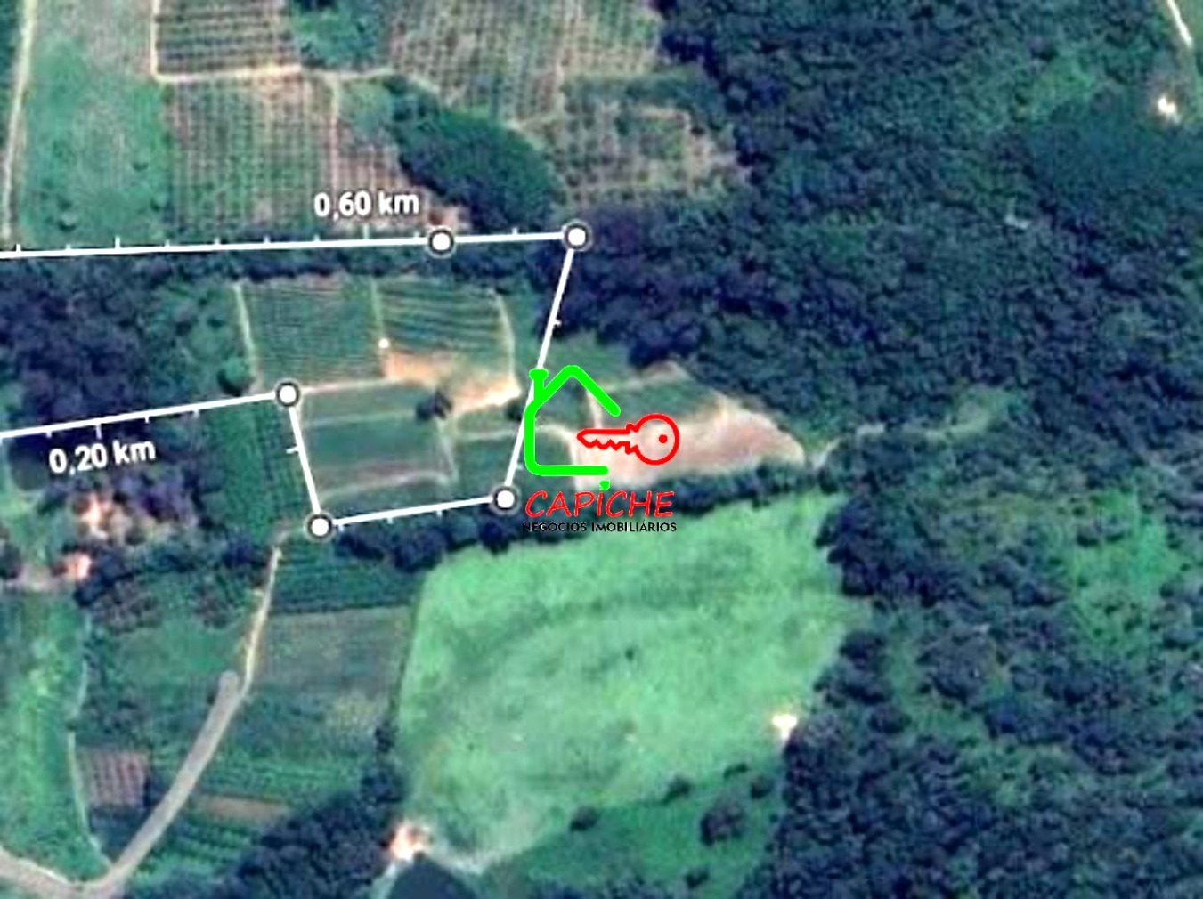 Terreno, 8 hectares - Foto 3