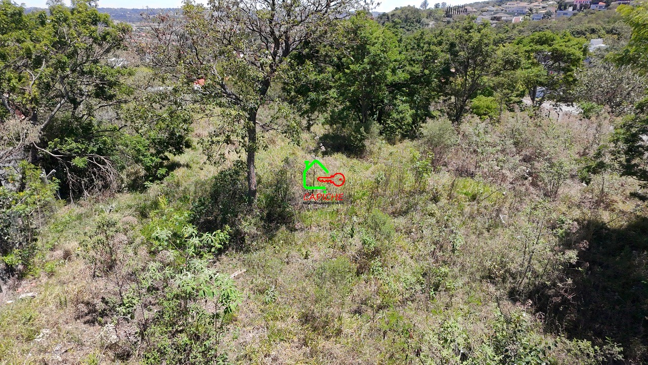 Terreno, 6494 m² - Foto 21