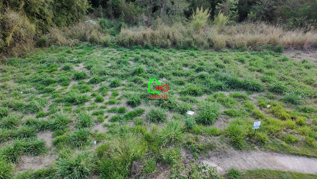 Terreno, 447 m² - Foto 5