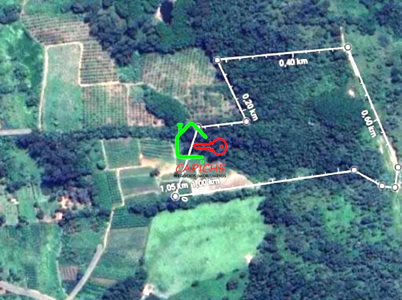 Terreno, 8 hectares - Foto 2