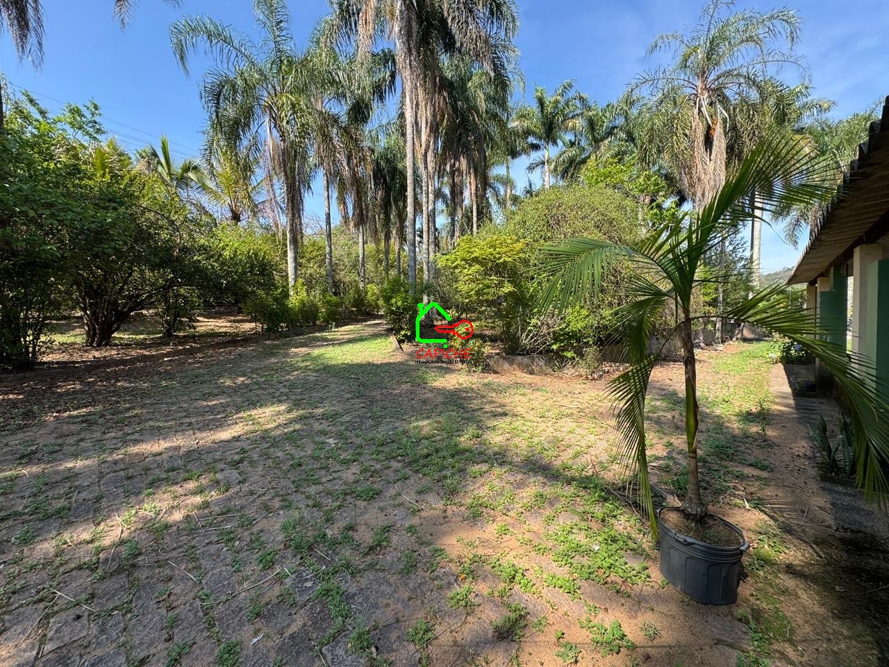 Sítio, 3 quartos - Foto 22