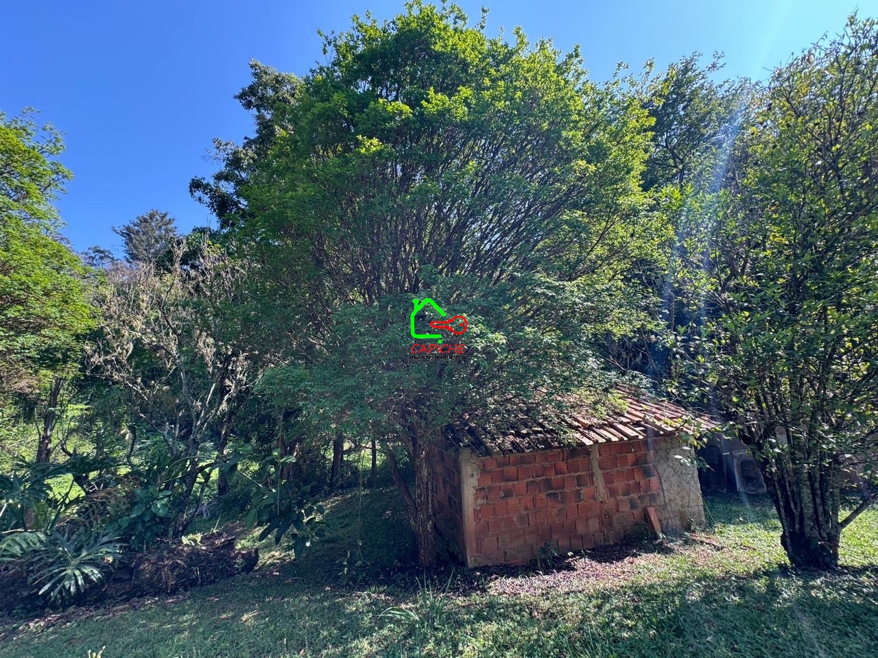 Sítio, 3 quartos - Foto 20