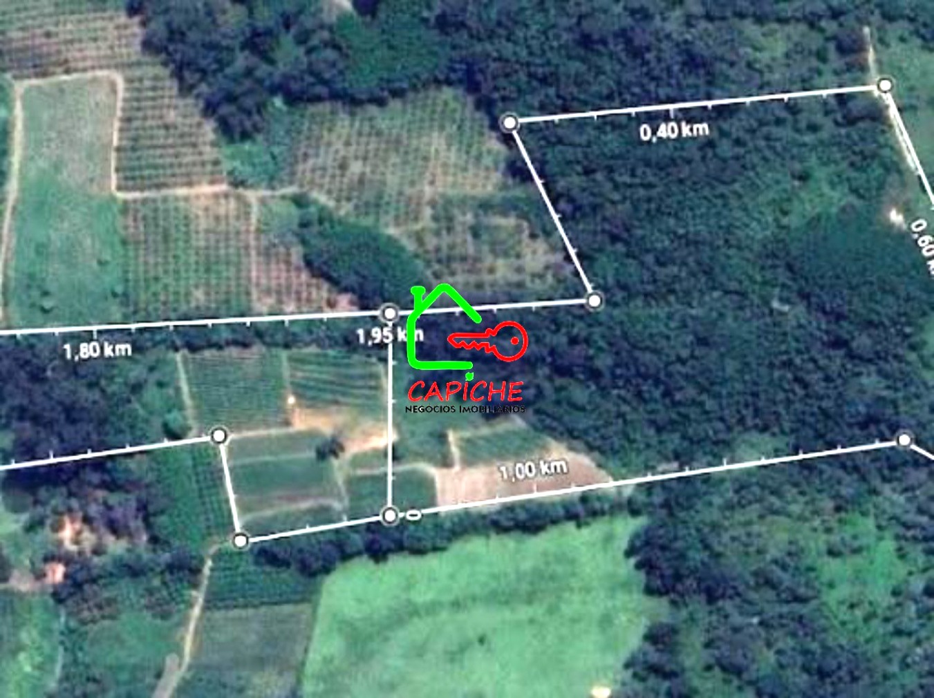 Terreno, 8 hectares - Foto 1