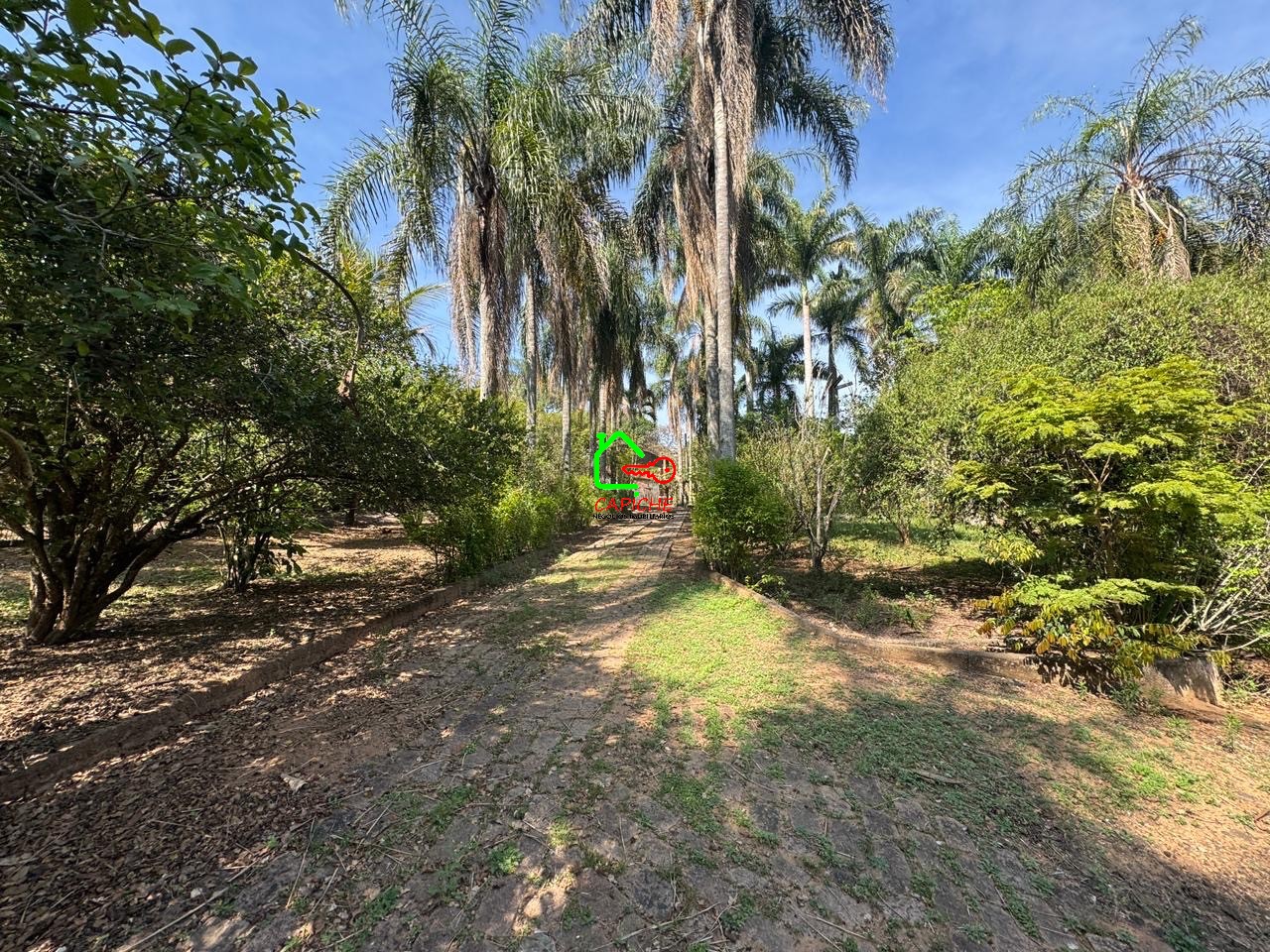 Sítio, 3 quartos - Foto 14