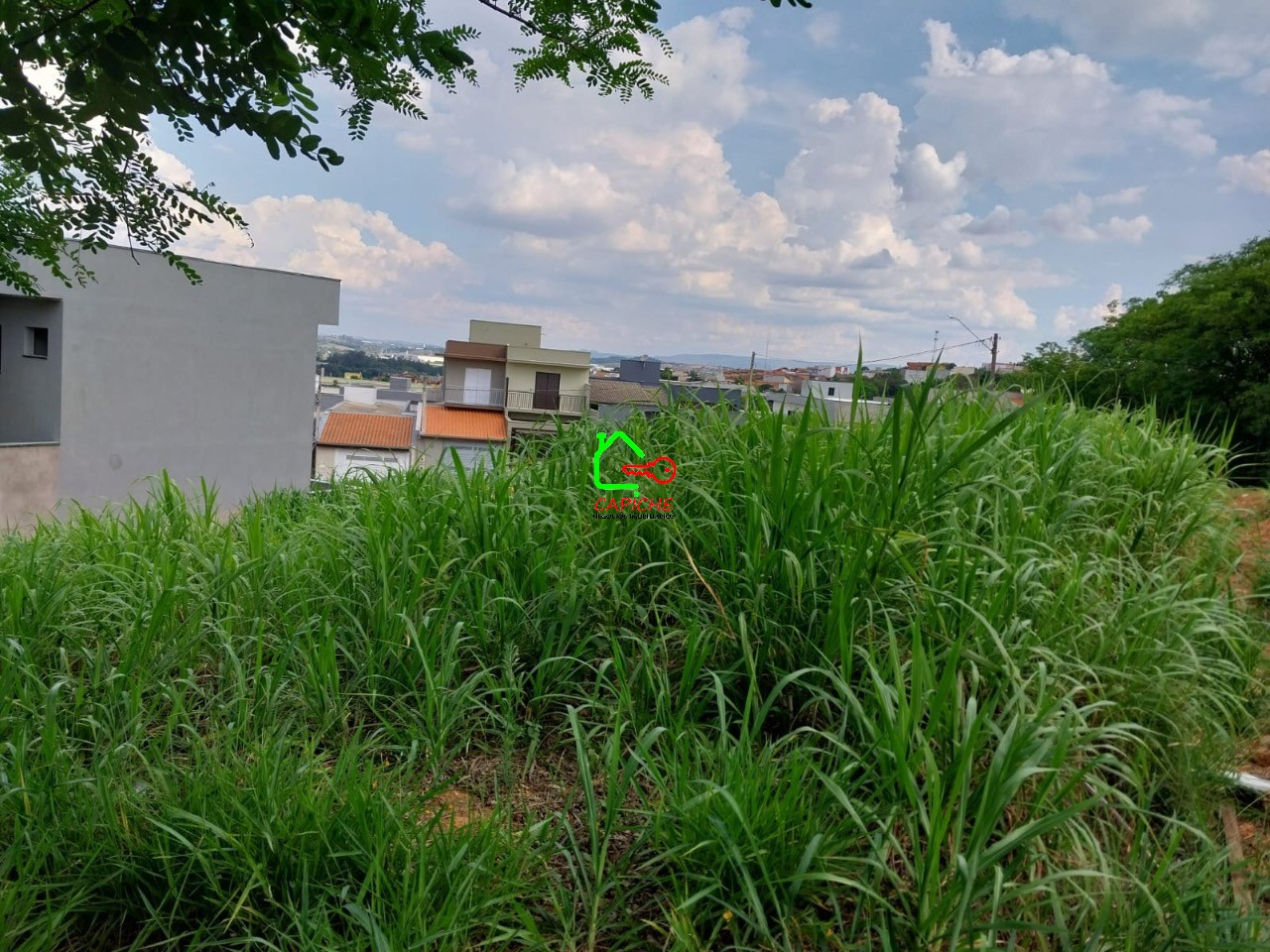 Terreno, 250 m² - Foto 4