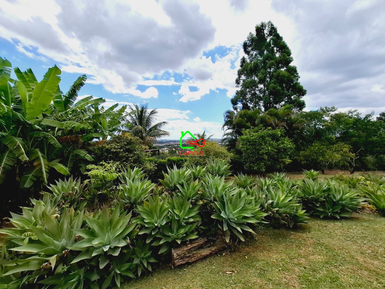 Chácara, 4 quartos, 3000 m² - Foto 5