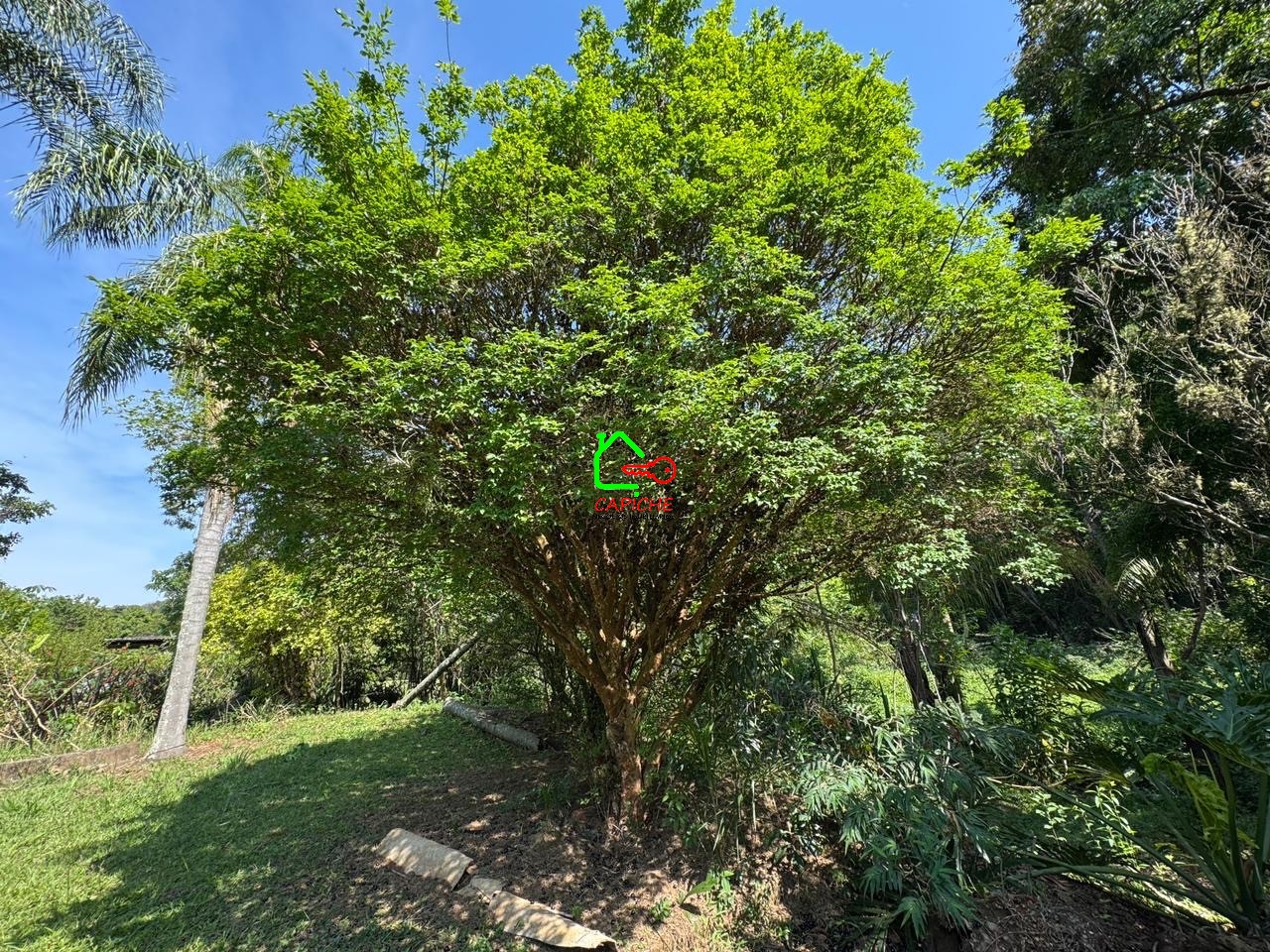 Sítio, 3 quartos - Foto 19