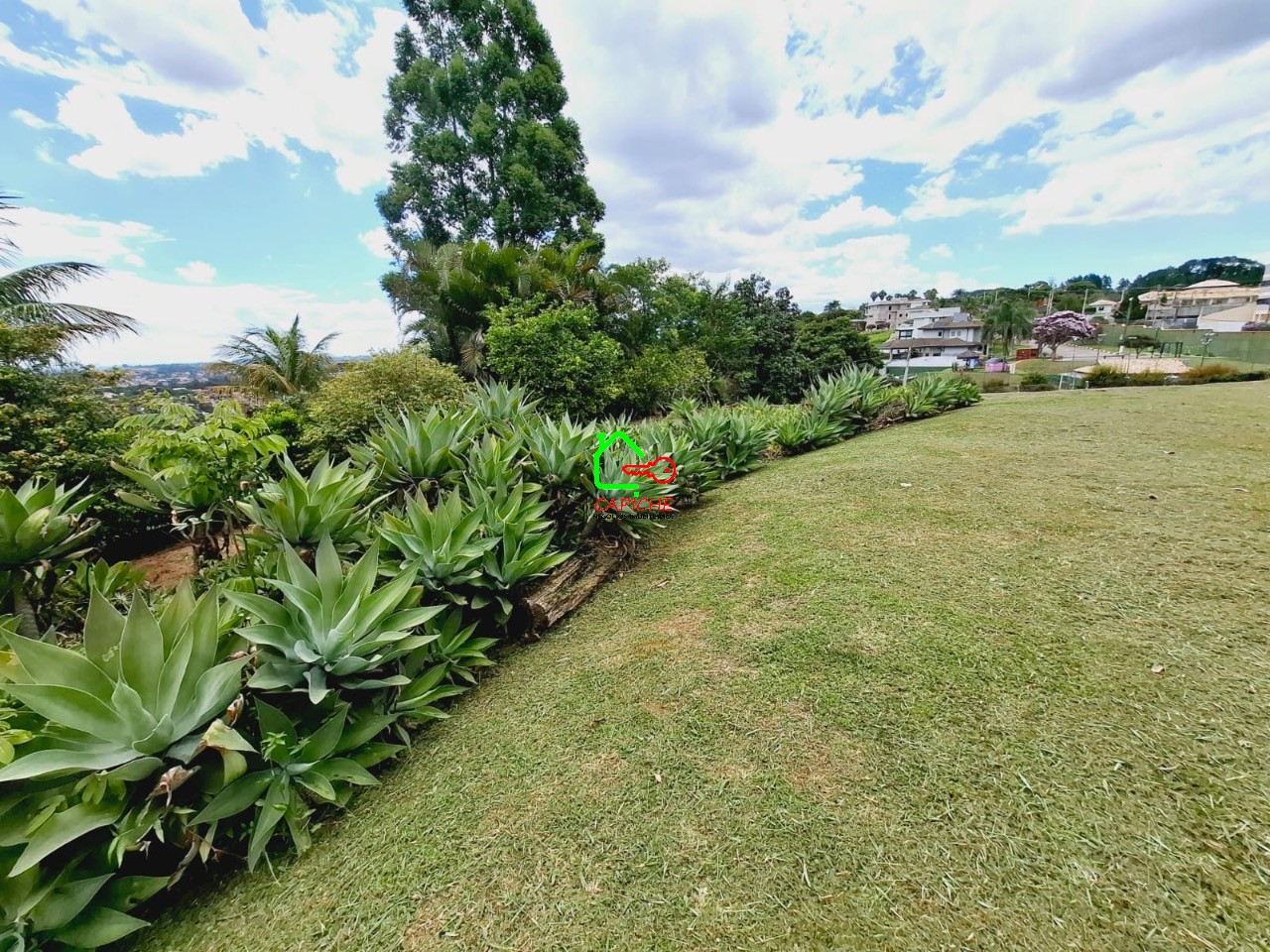 Chácara, 4 quartos, 3000 m² - Foto 2