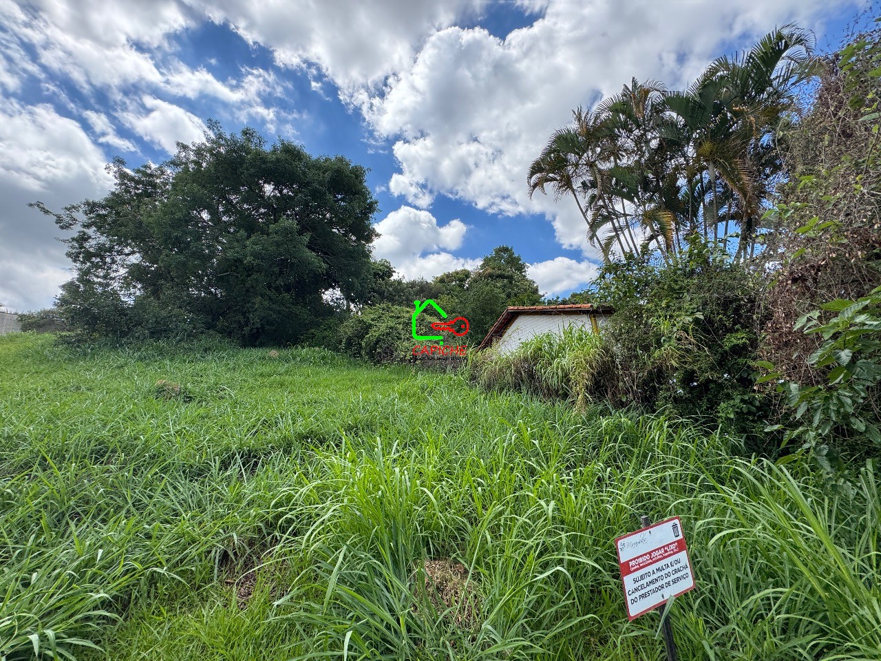 Terreno, 1073 m² - Foto 6