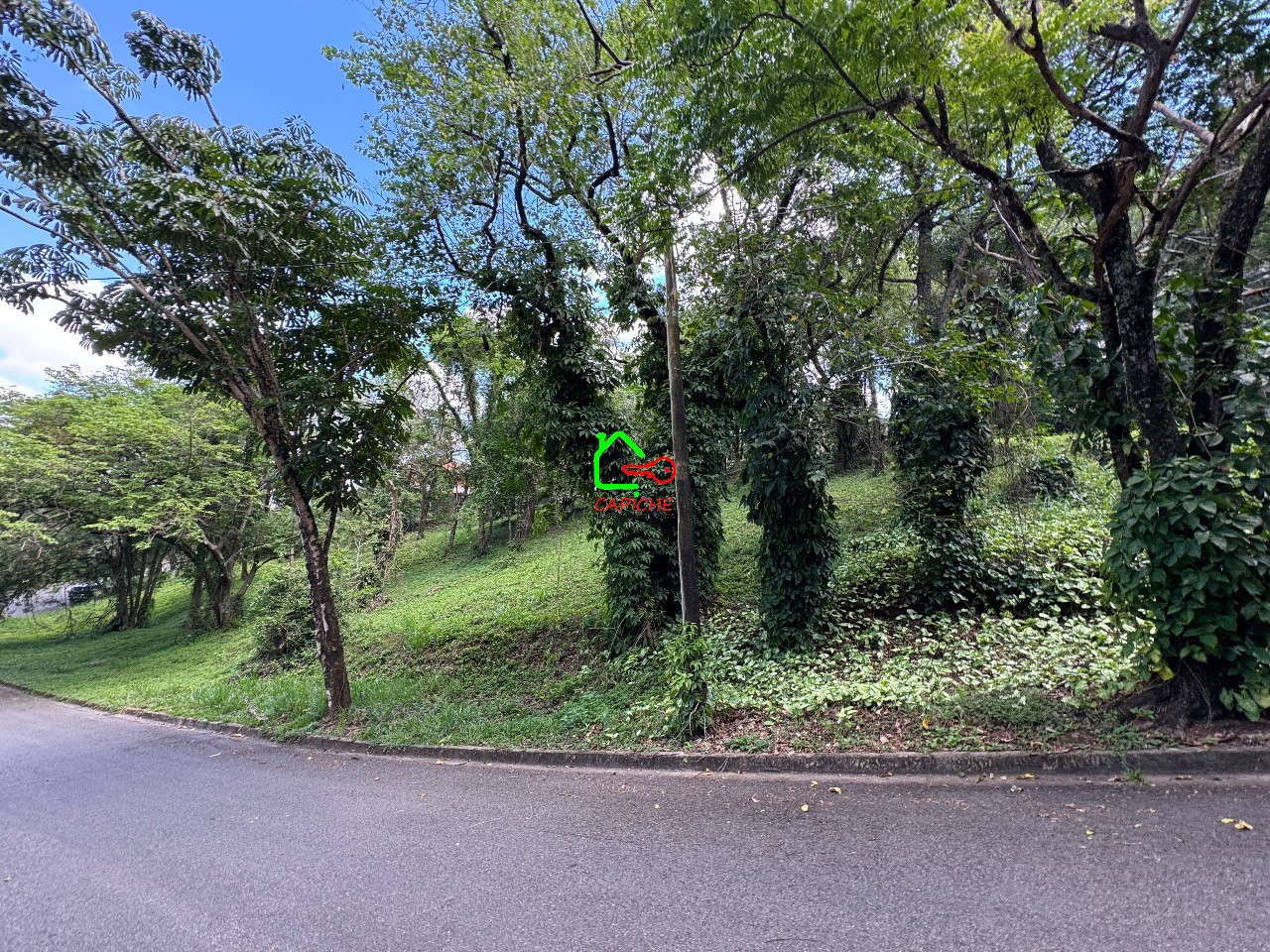 Terreno, 1275 m² - Foto 6