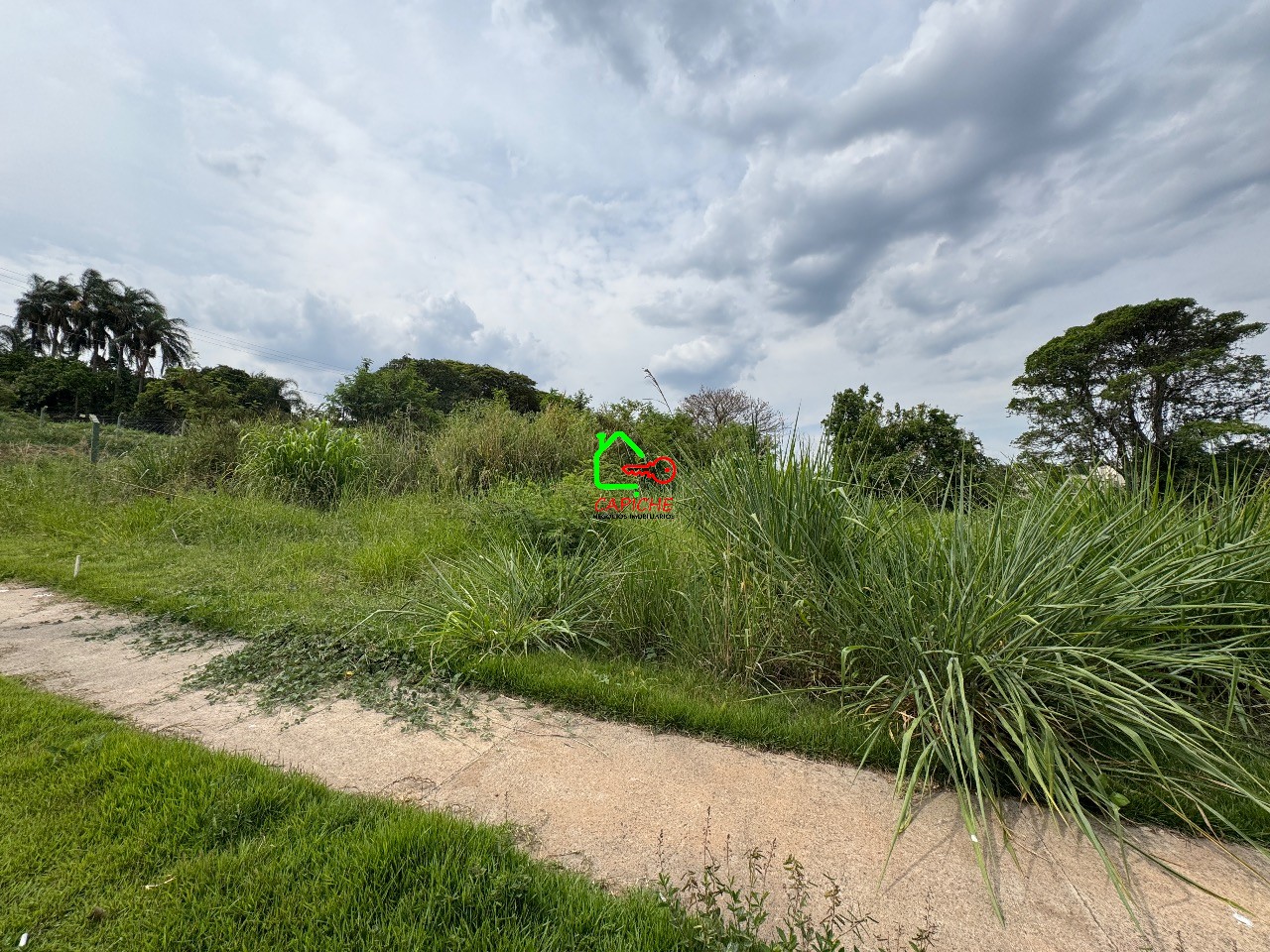 Terreno, 451 m² - Foto 7