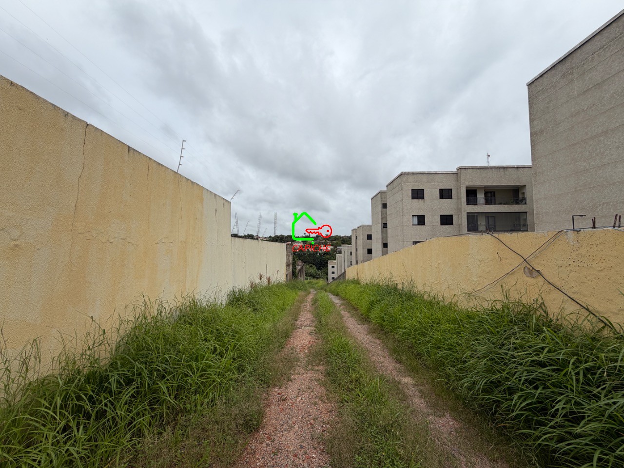 Depósito-Galpão - Foto 3