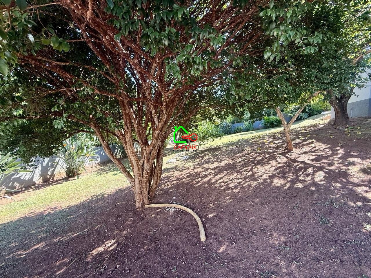 Casa, 4 quartos - Foto 9