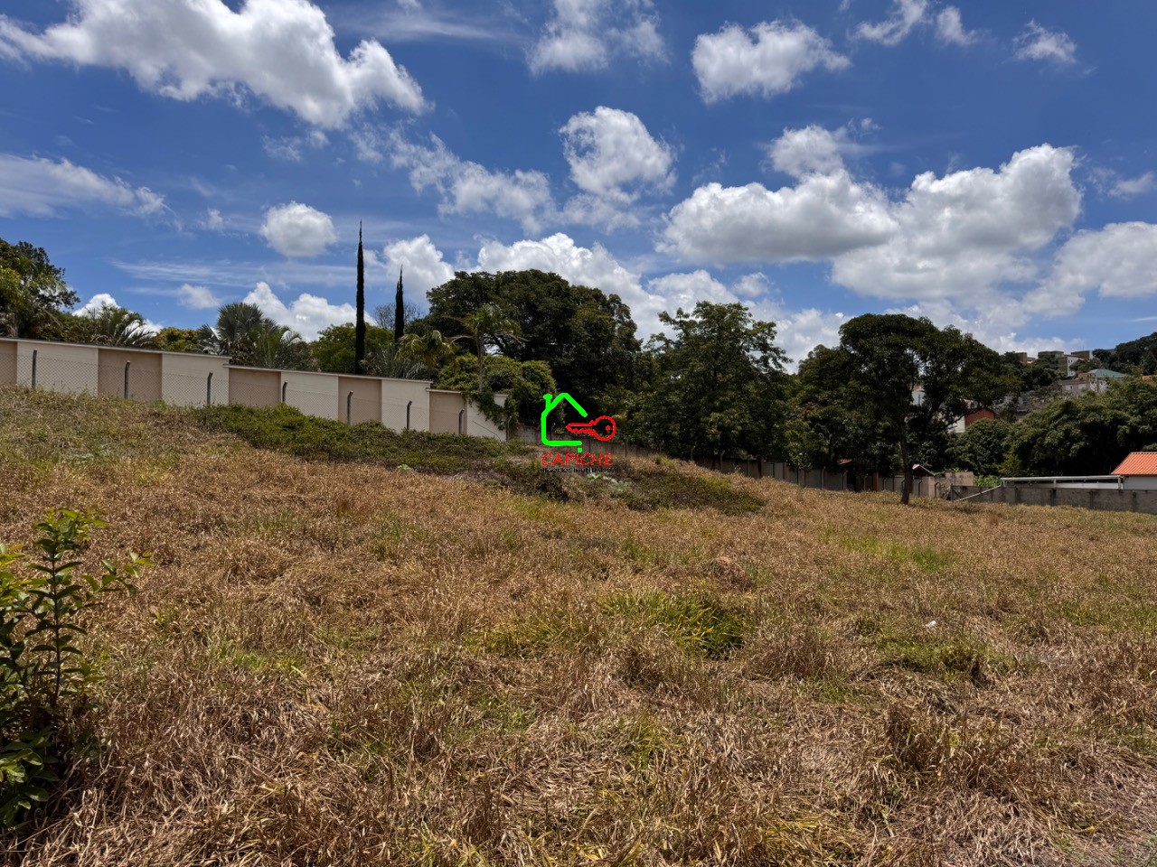 Terreno, 5000 m² - Foto 11