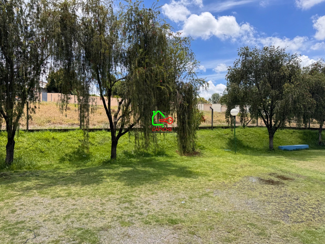 Terreno, 5000 m² - Foto 13