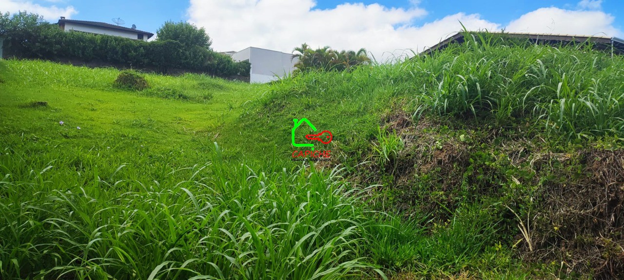 Terreno, 800 m² - Foto 3