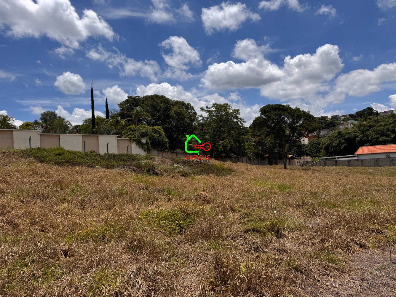 Terreno, 5000 m² - Foto 9