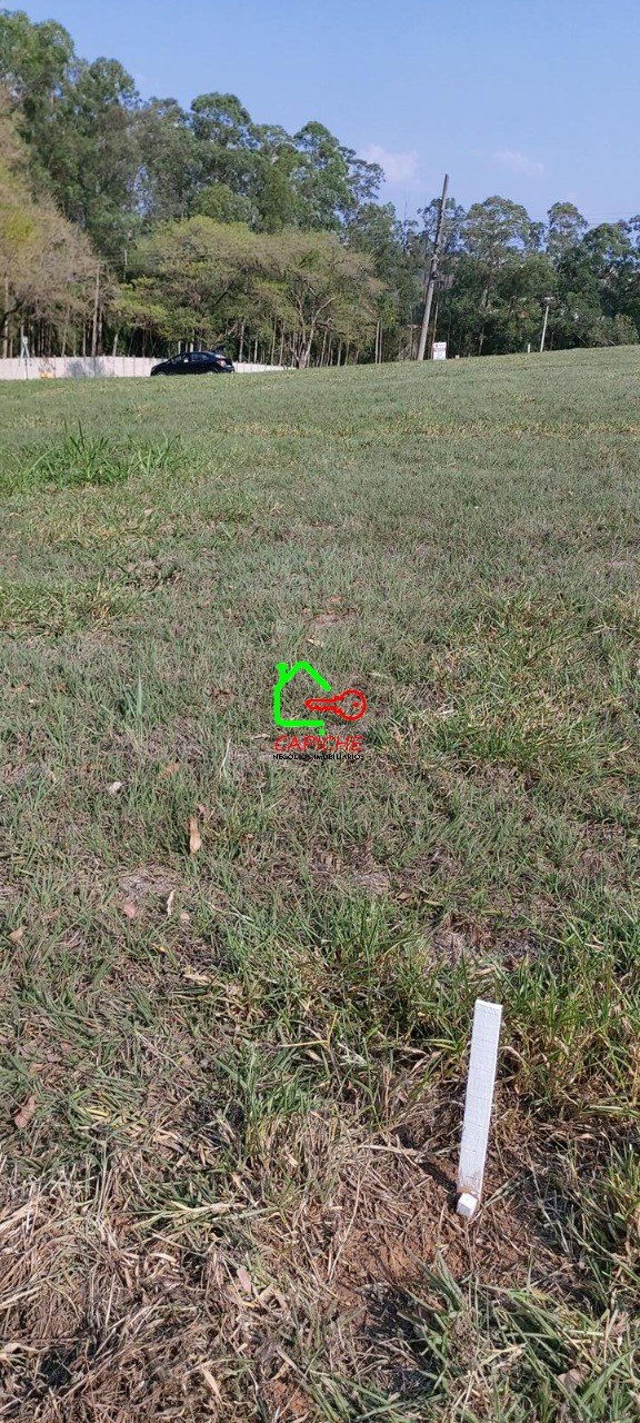 Terreno, 810 m² - Foto 6