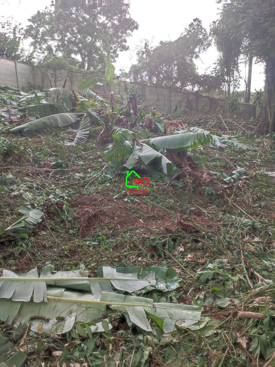 Terreno, 750 m² - Foto 8