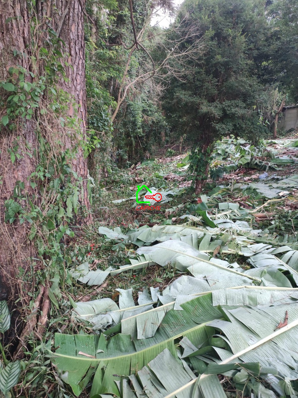 Terreno, 750 m² - Foto 4