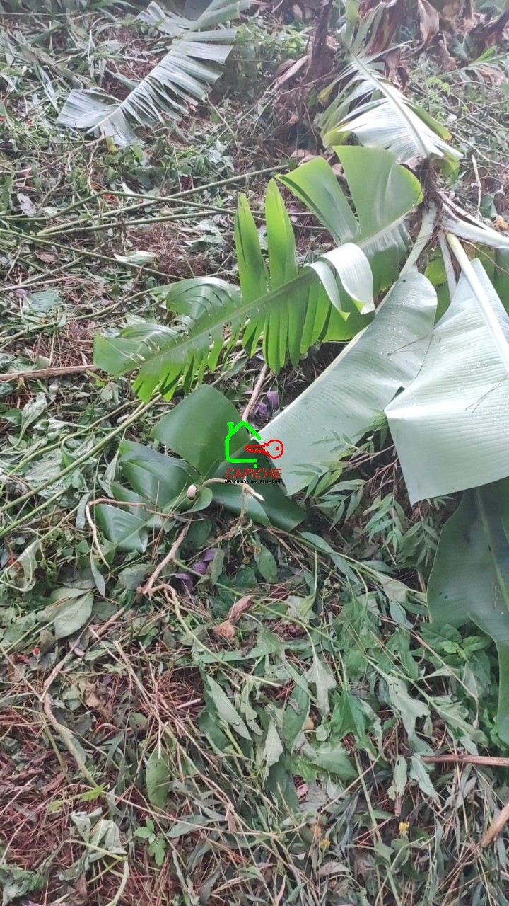 Terreno, 750 m² - Foto 7