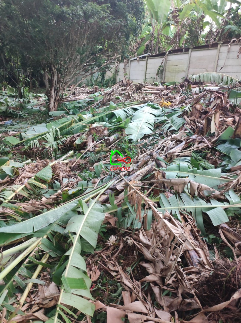 Terreno, 750 m² - Foto 6