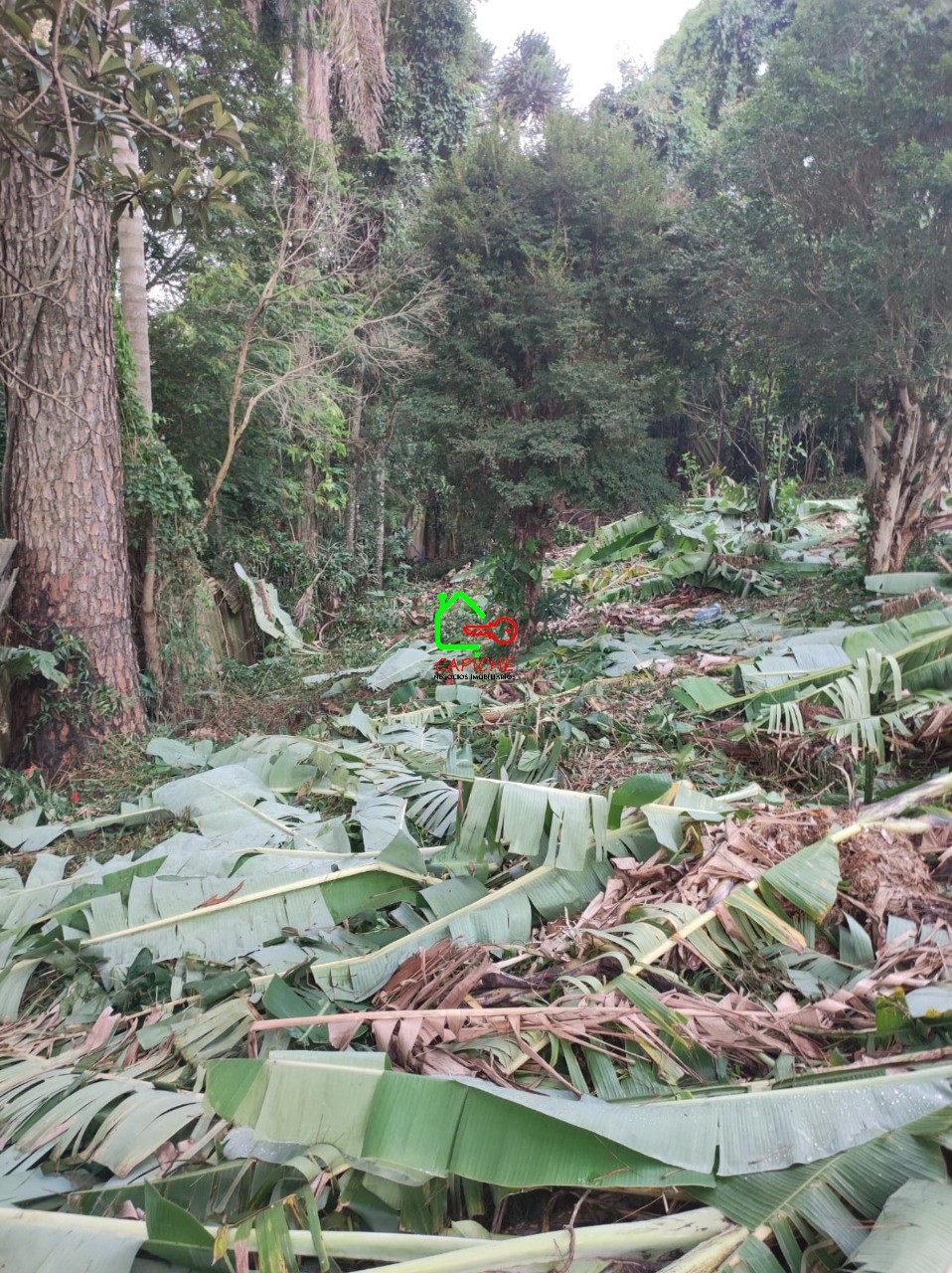 Terreno, 750 m² - Foto 3