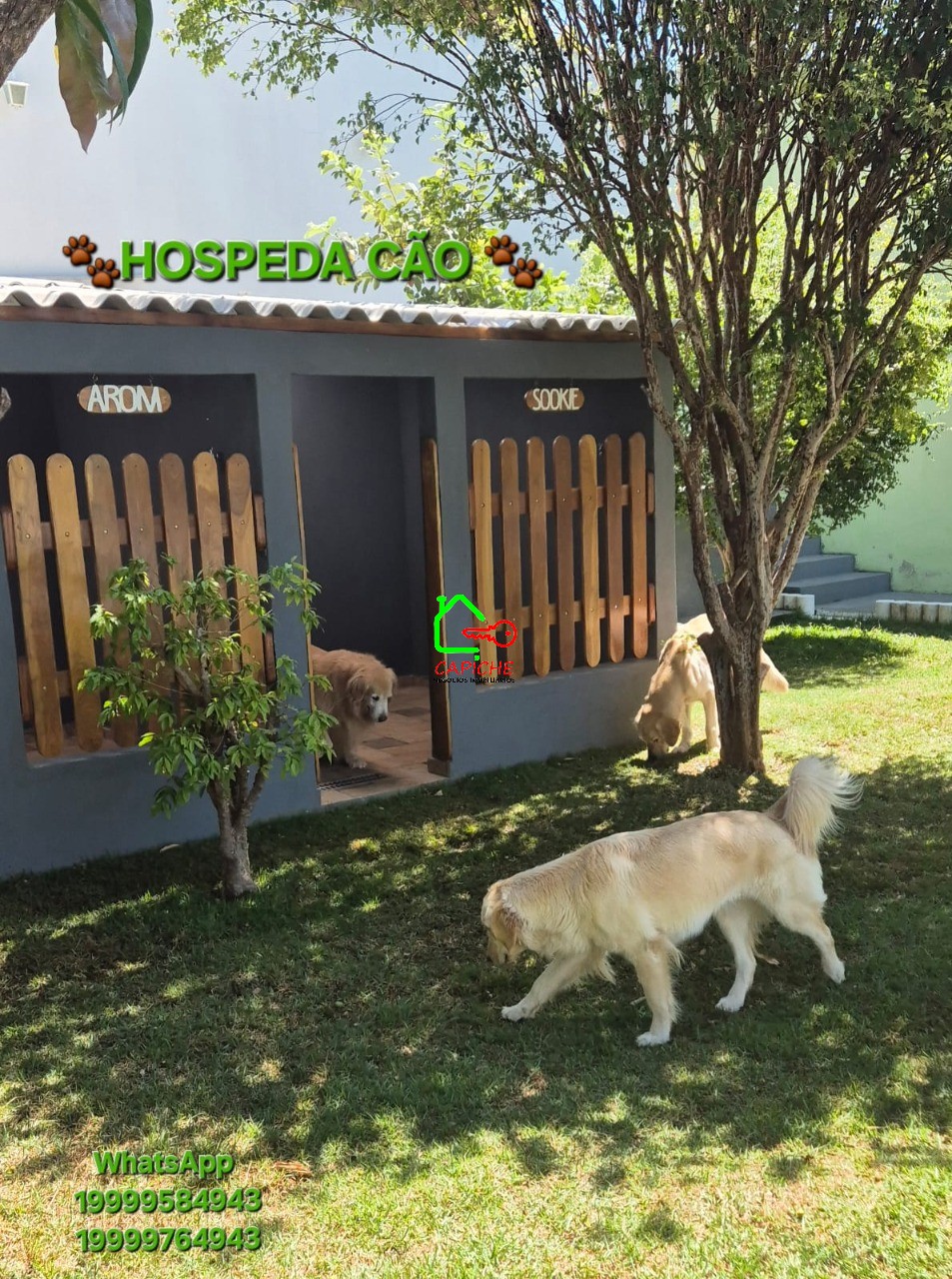 Casa, 2 quartos - Foto 3
