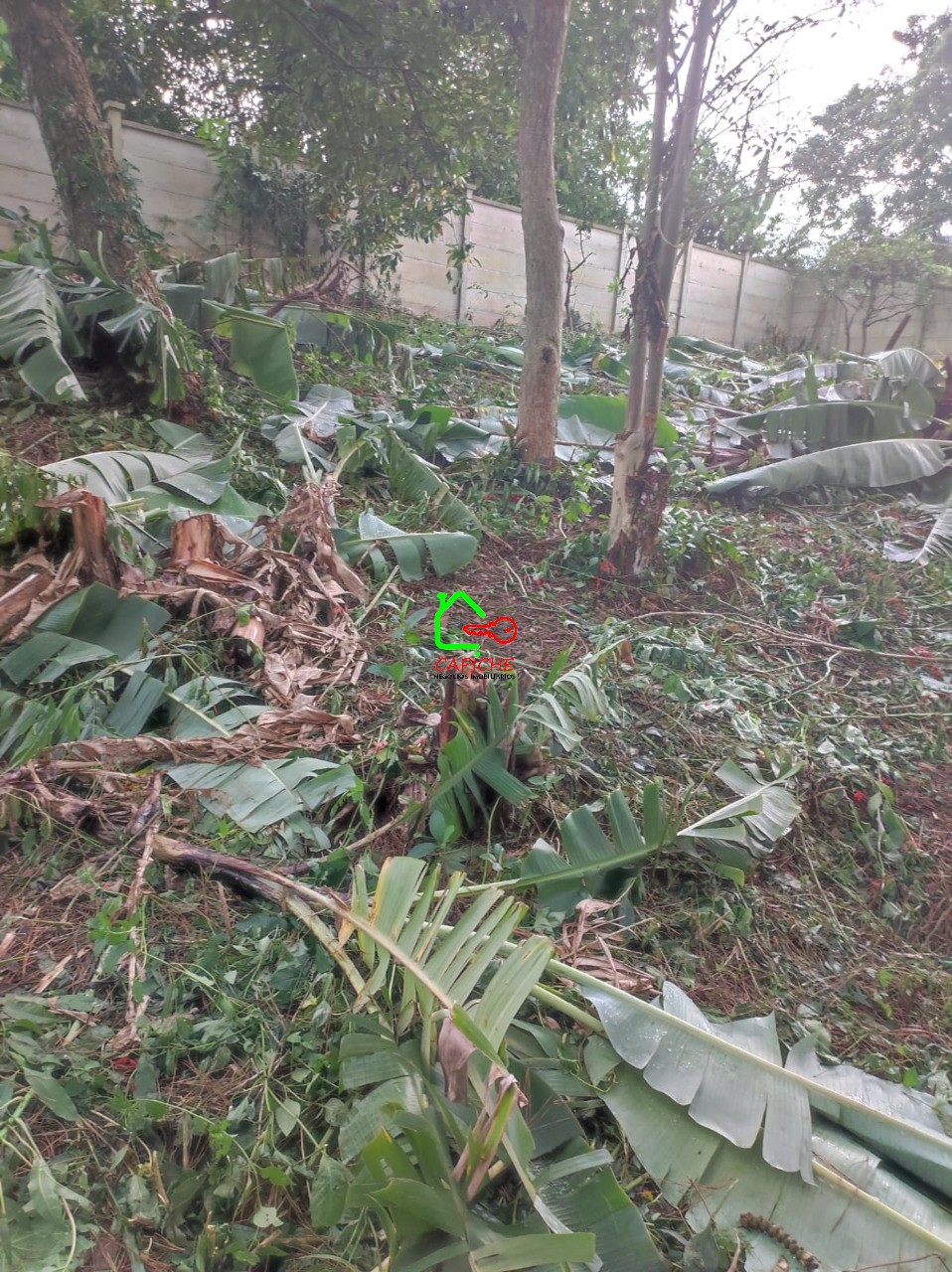 Terreno, 750 m² - Foto 5