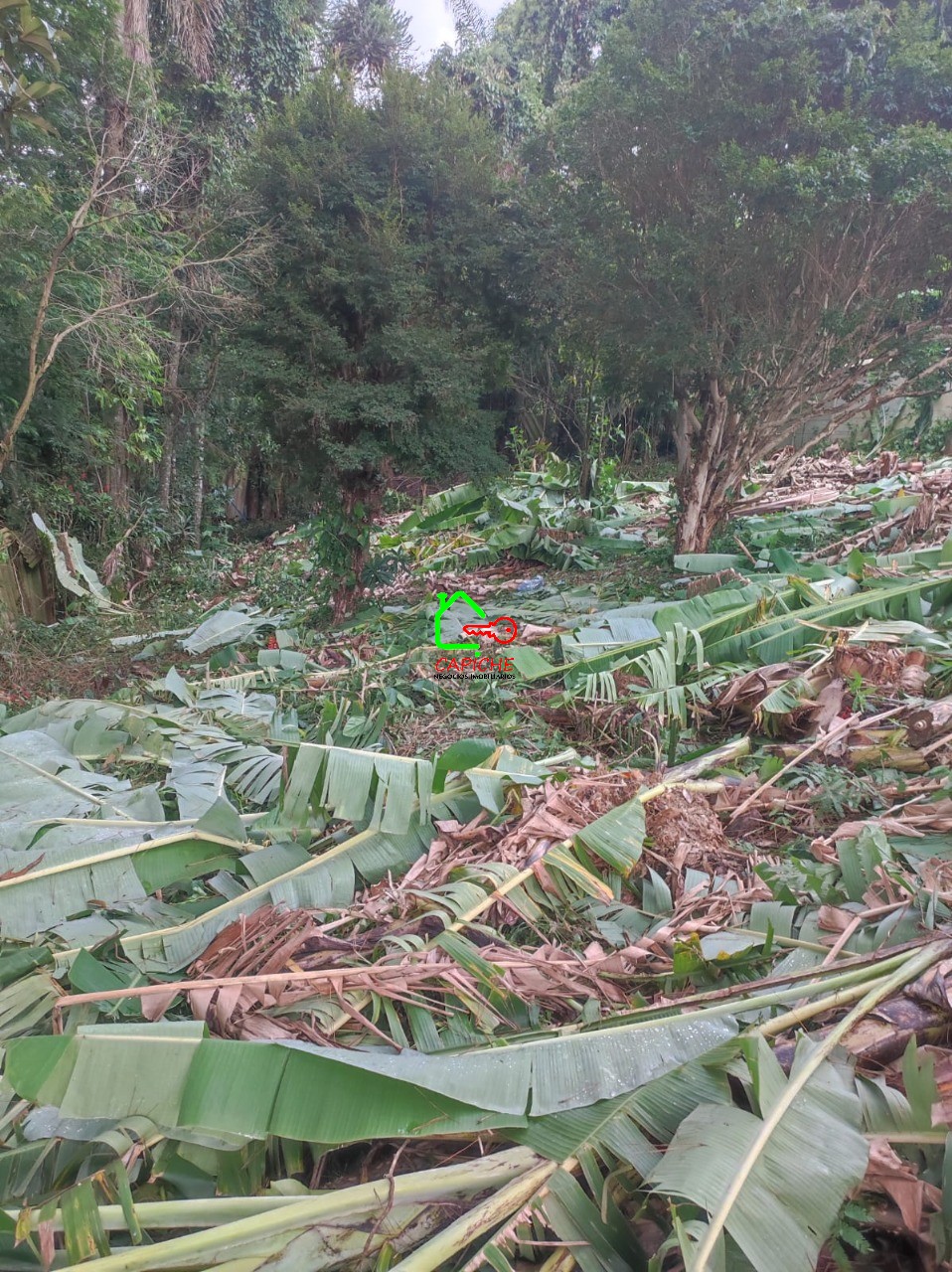 Terreno, 750 m² - Foto 9