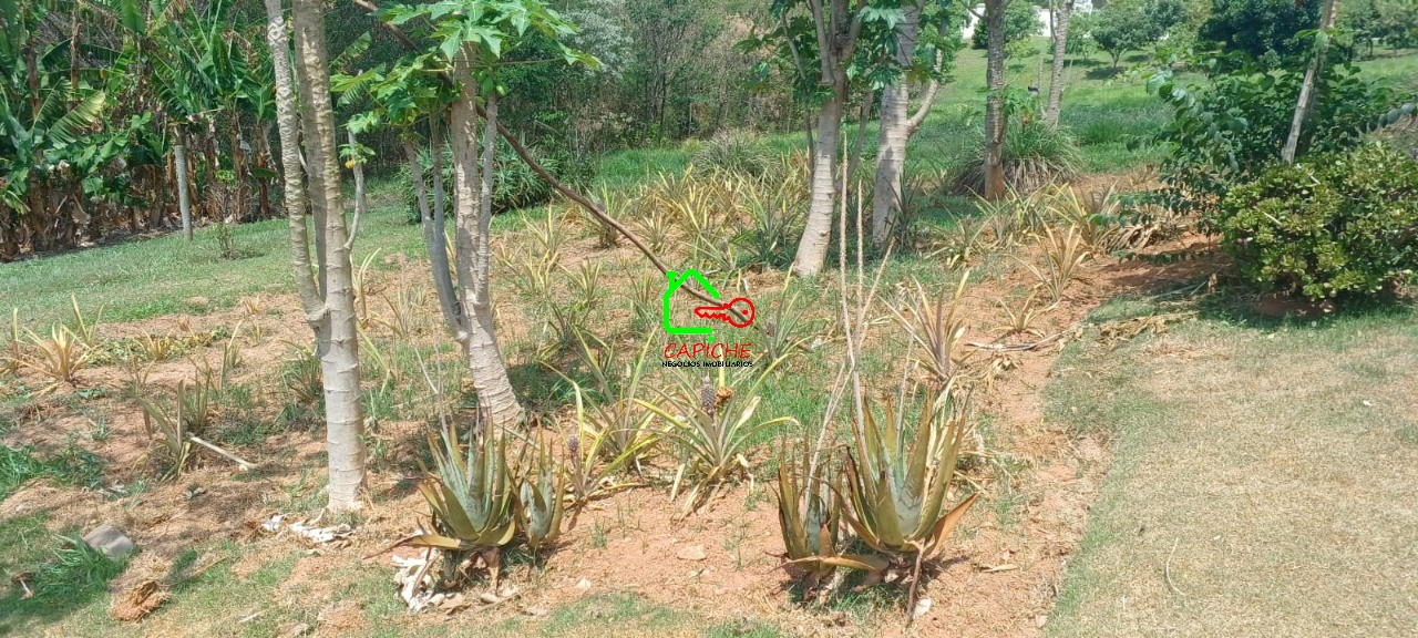 Terreno, 1002 m² - Foto 4