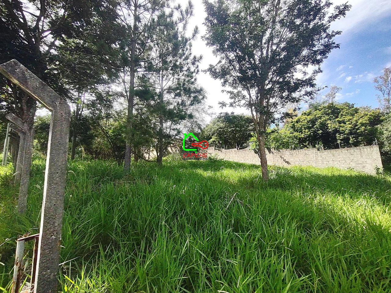 Terreno, 3160 m² - Foto 7