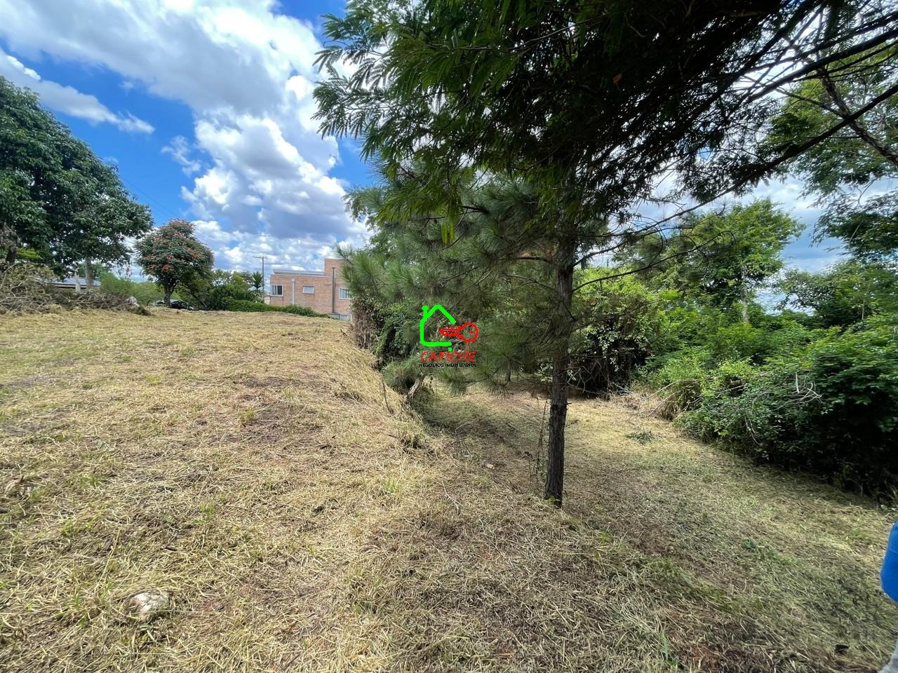 Terreno, 2096 m² - Foto 14