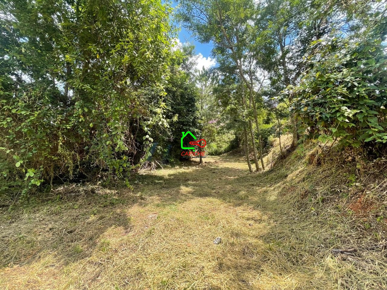 Terreno, 2096 m² - Foto 8