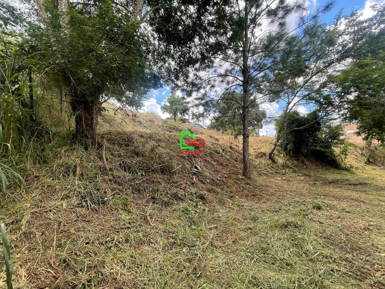 Terreno, 2096 m² - Foto 11