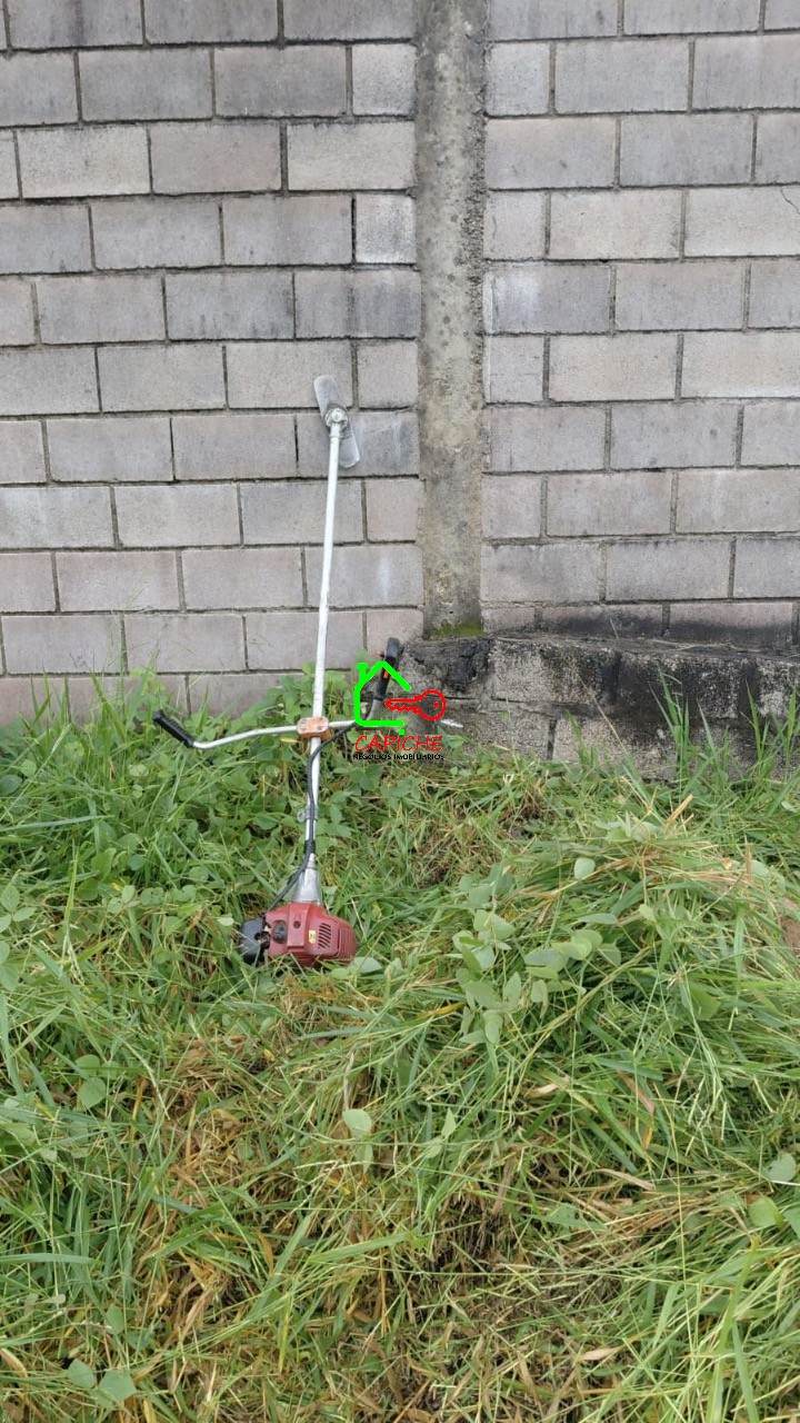 Terreno, 250 m² - Foto 7