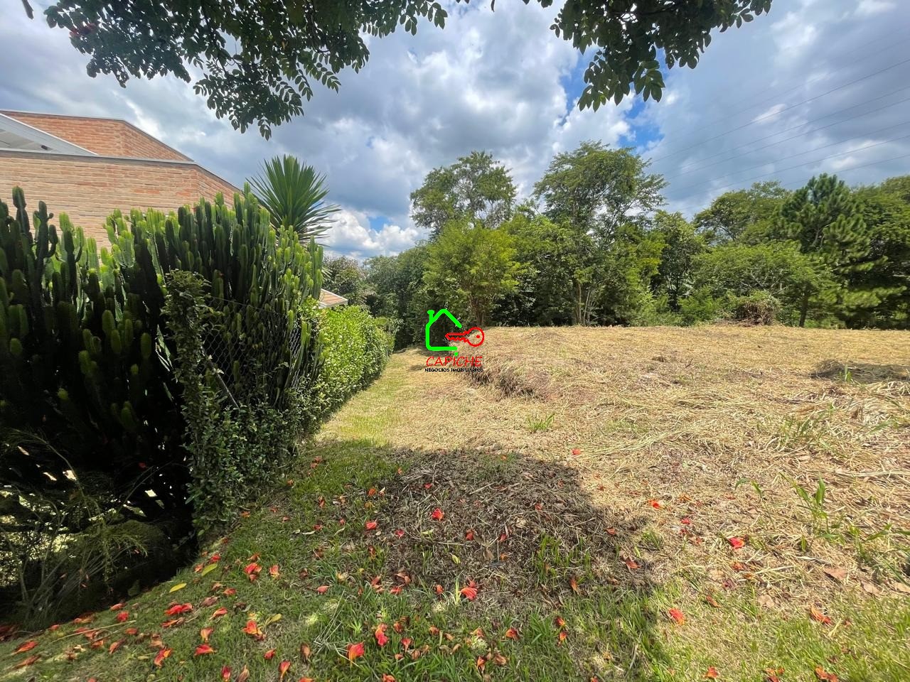 Terreno, 2096 m² - Foto 9