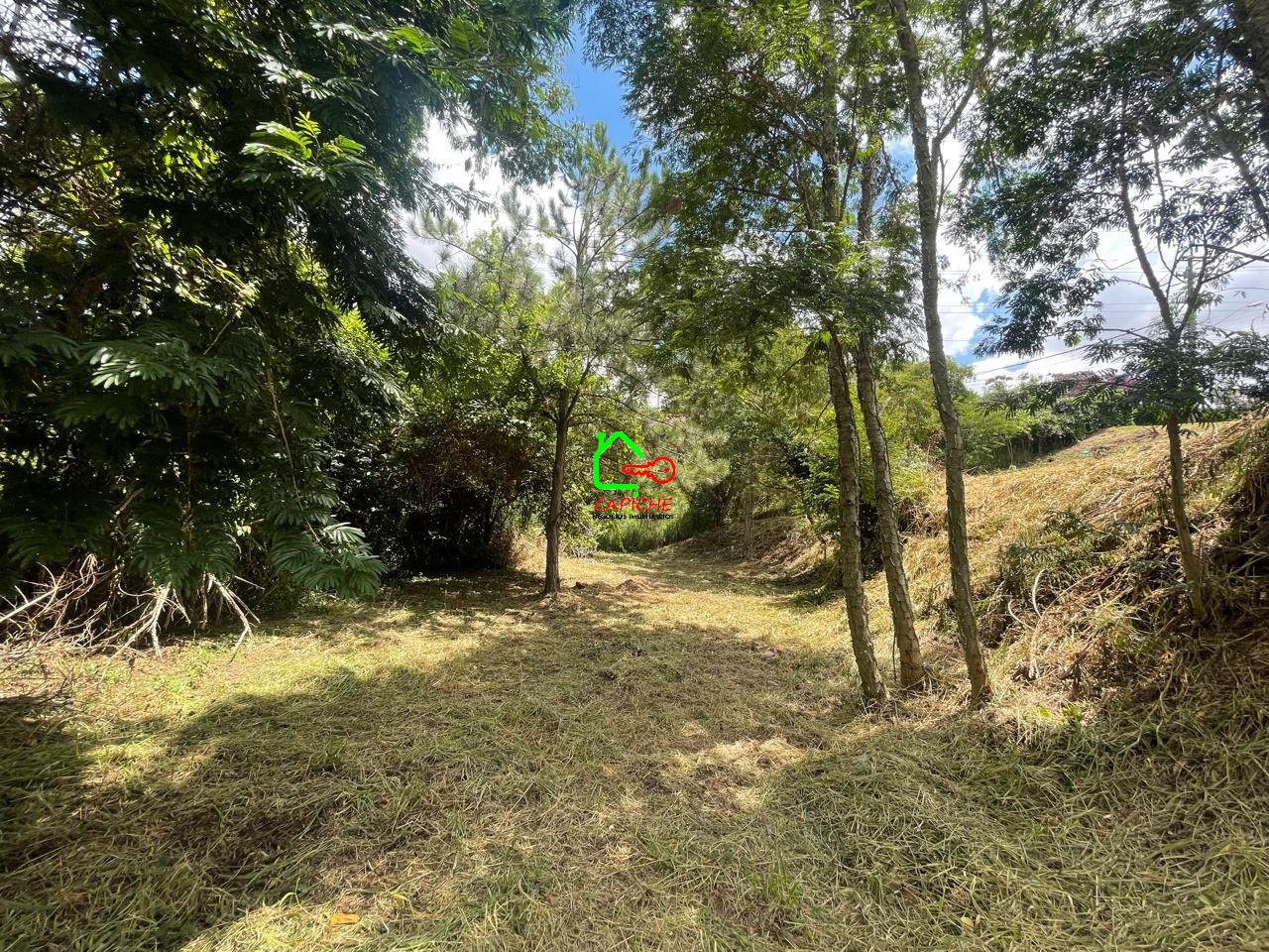 Terreno, 2096 m² - Foto 13