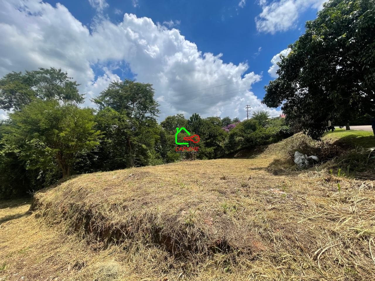 Terreno, 2096 m² - Foto 6