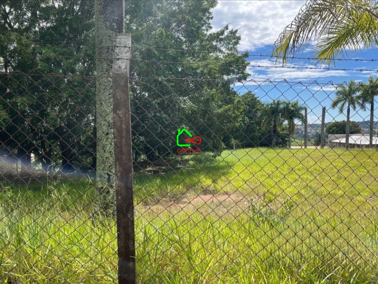 Terreno, 2 hectares - Foto 10
