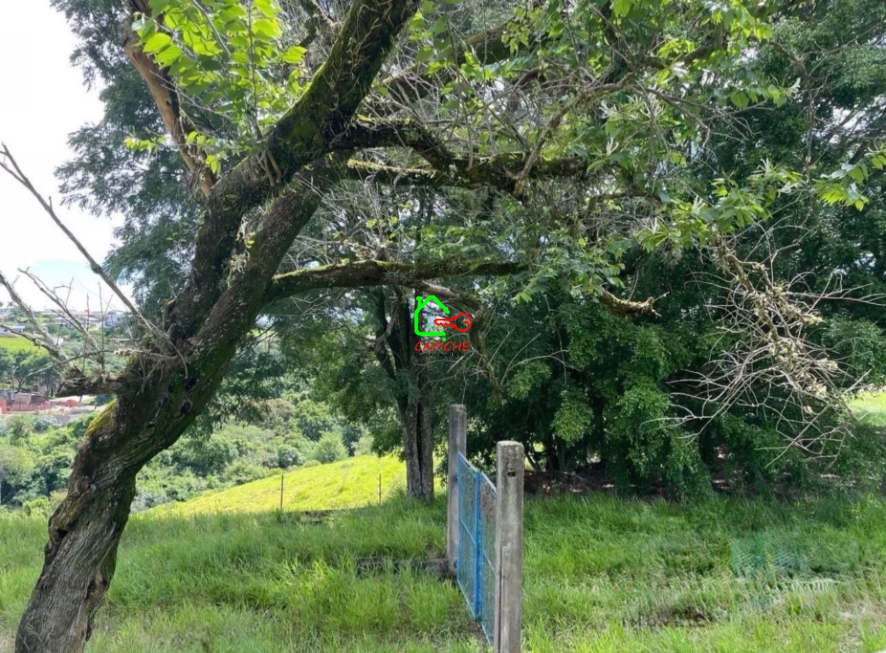 Terreno, 2 hectares - Foto 4