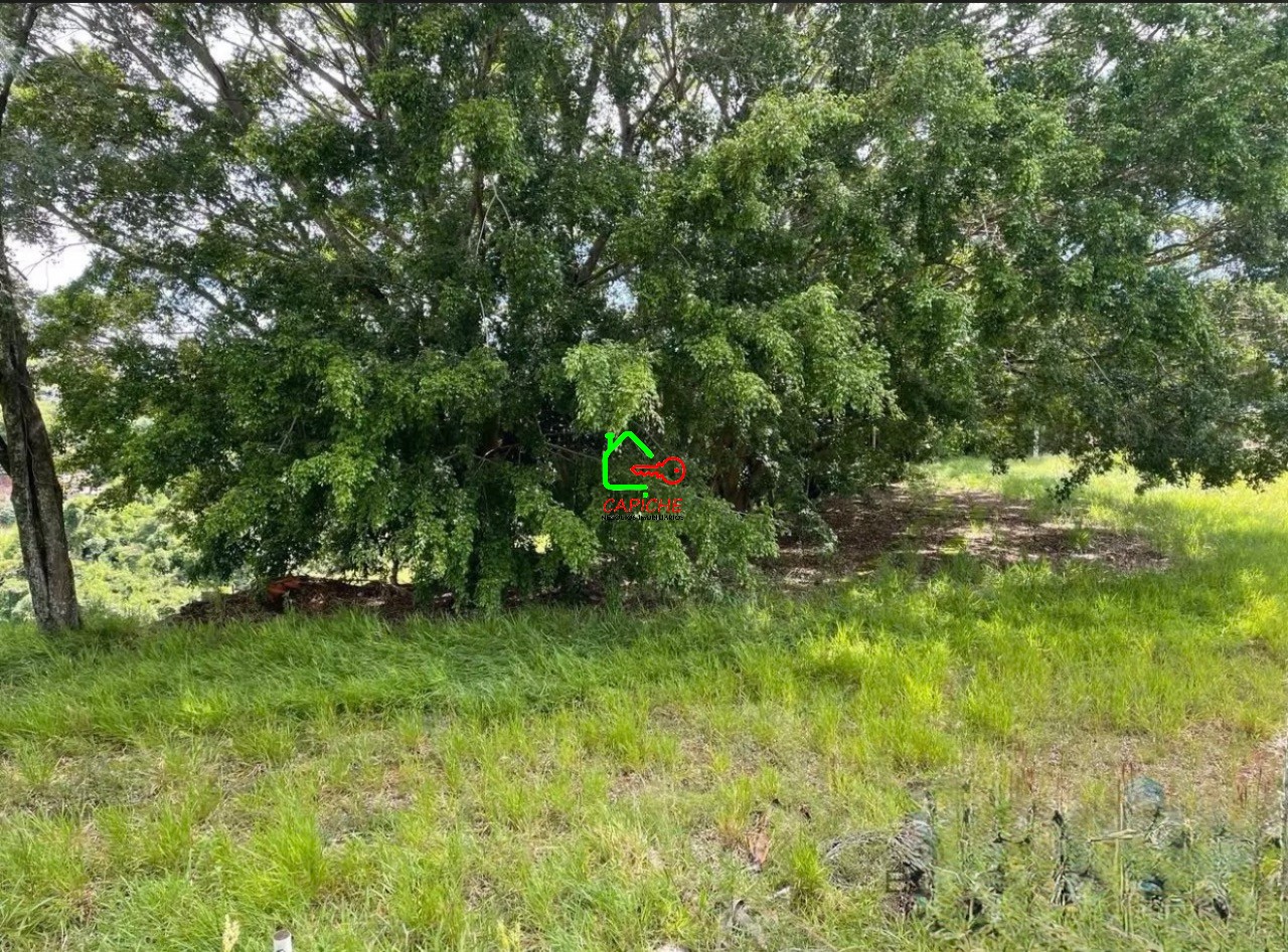 Terreno, 2 hectares - Foto 7