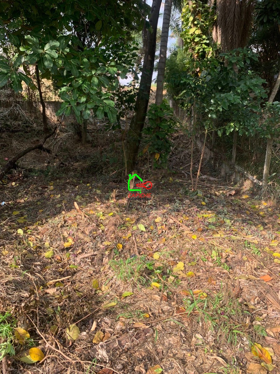 Terreno, 430 m² - Foto 10