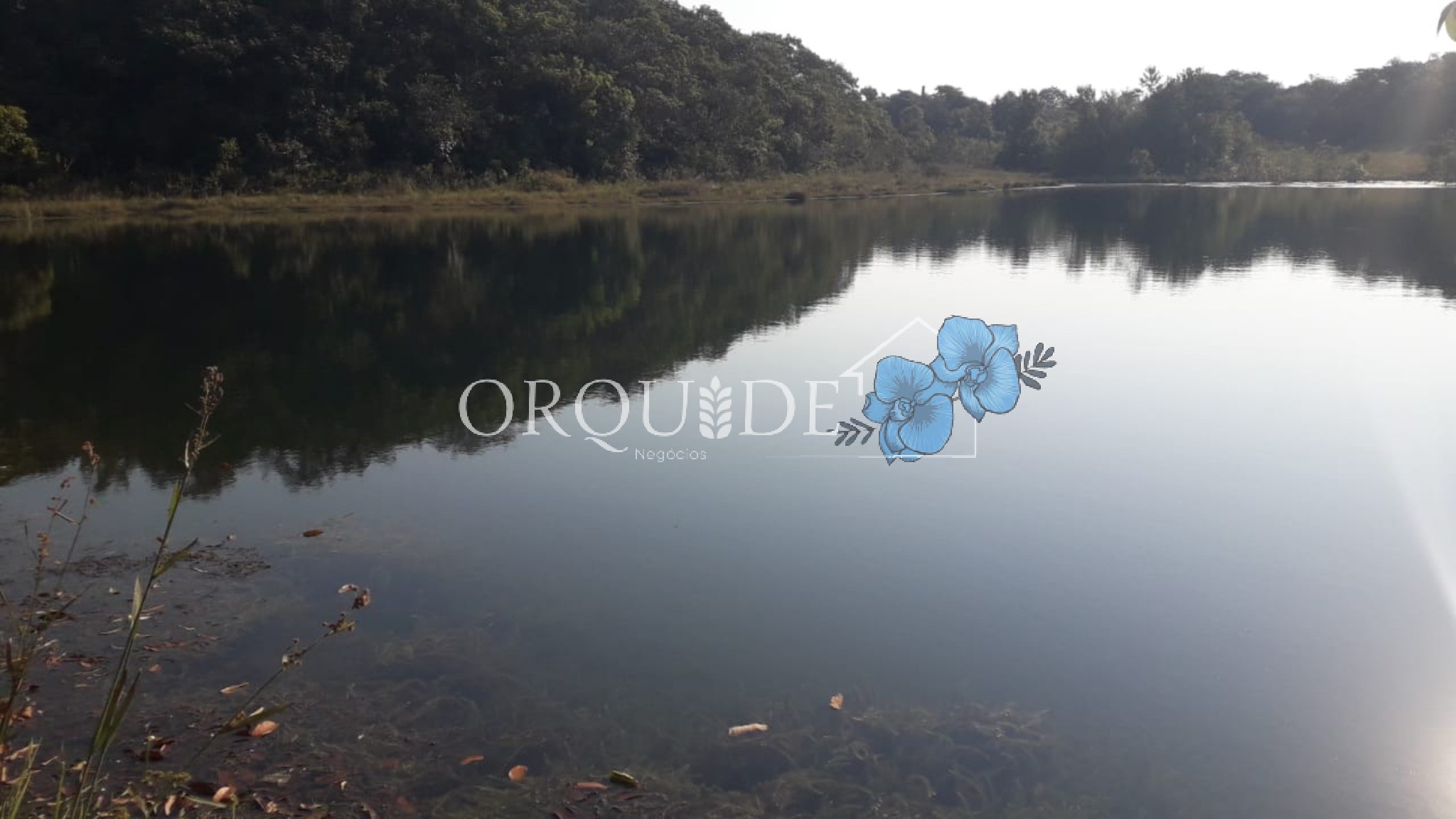 Chácara - Foto 2
